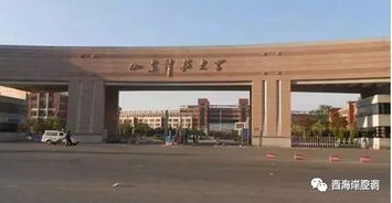 山东或诞生一所新 石油 高校 中国能源大学筹备中